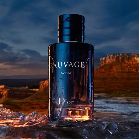 dior sauvage parfum 100ml original|dior sauvage 100ml best price.